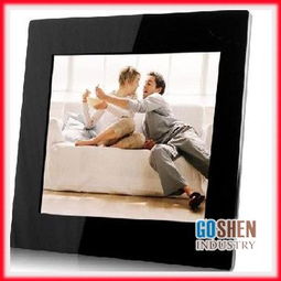 數(shù)碼產(chǎn)品銷售的現(xiàn)狀與未來趨勢(shì)